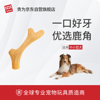 DentaPort ZX | MORITA