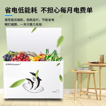 荣事达（Royalstar）冷柜.大容量全冷冻卧式冰柜家用冷藏冷冻两用冰柜冷冻柜 388升单温【企采购】