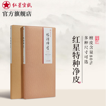 红星 宣纸 紅星 特皮生宣10枚 書道紙
