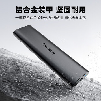 梵想（FANXIANG）2TB 移动固态硬盘（PSSD）Type-c USB 3.2高速读取1000MB/S 手机直连 笔记本外接硬盘 PS1008