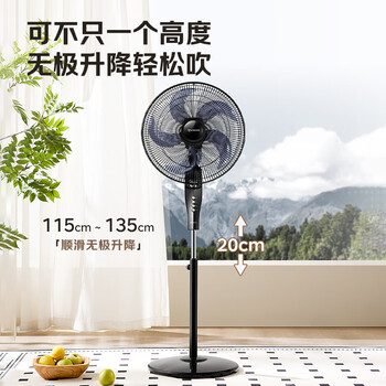 艾美特（AIRMATE）五叶家用电风扇大风量台式落地扇轻音节能空气循环小风扇定时电扇宿舍降温风扇 FSW65T2-5