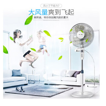 先锋电风扇 家用大风量落地扇 可升降定时摇头落地扇 机械16寸5叶扇 FS40-11B白色