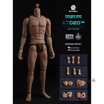 figma 人体模型 241017789_4302846549809846_637