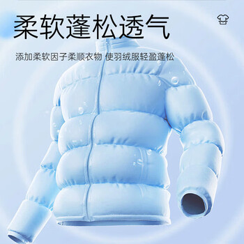 D.SIIS迪艾澌羽绒服蓬松洗涤剂500ml*2专用清洗剂洗衣液衣物柔顺去污