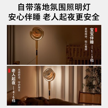 东芝（TOSHIBA）电风扇空气循环扇家用直流变频轻音落地扇负离子空气净化卧室加速除湿一级能效DSB700XCN(Y)