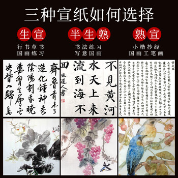 玖柒文房生宣纸书法练习专用宣纸泾县初学者毛笔书法练字作品纸国画纸工笔画练习纸四尺八开【200张】