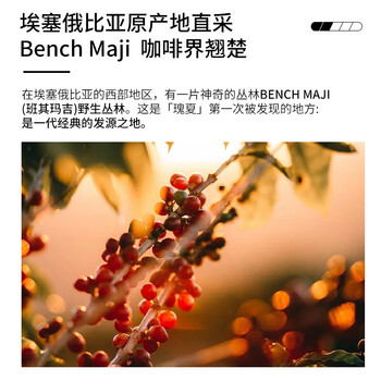 LUJIAZUI鹿家嘴埃塞俄比亚瑰夏意式精品美式咖啡豆阿拉比卡中深烘焙250g