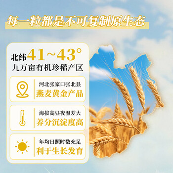 元气呱呱有机燕麦片 0添加无蔗糖 免煮即食麦片冲饮谷物营养早餐膳食35g