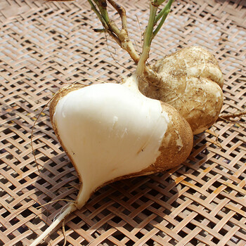 碧莲塘 新鲜凉薯白地瓜 2.5kg