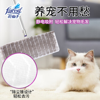 花仙子（Farcent）平板拖把26cm赠5张湿巾+5张干巾静电除尘拖布可替换干湿两用 