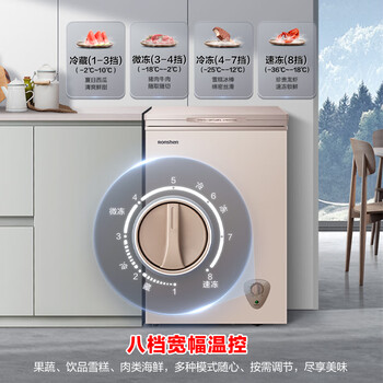 容声（Ronshen）100L单温家用冰柜-36℃速冻减霜80%一级能效节能净味冷柜BD/BC-100ZMSM