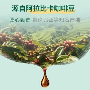 星巴克（Starbucks）0糖0脂即享黑咖啡精萃咖啡液浓醇黑咖25ml*6杯 冷热秒溶