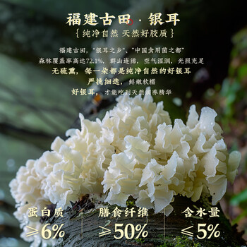 九阳豆浆燕窝银耳豆浆粉10条*20g早餐豆浆粉代餐