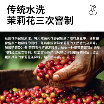 LUJIAZUI鹿家嘴埃塞耶加雪菲科契尔产区茉莉雪手冲精品咖啡豆中浅烘100g
