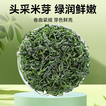 贡苑正宗贵州余庆小叶苦丁茶250g明前头采特级嫩芽端午节日礼盒送长辈