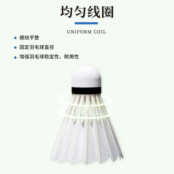 薰风（KUMPOO）挑战8羽毛球 耐打飞行稳定熏风专业训练比赛用球12只装