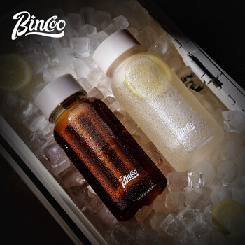 Bincoo咖啡冷萃壶家用冷萃瓶冷泡水果茶壶随手咖啡杯耐高温便携
