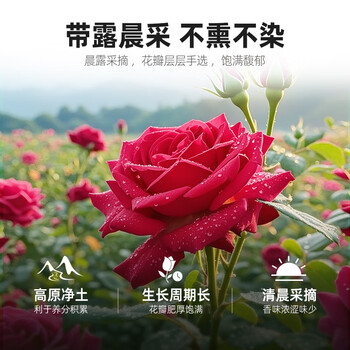 丙田 有机玫瑰花酱200g 玫瑰酱食用云南鲜花酱玫瑰蜜蜂蜜果酱无添加剂