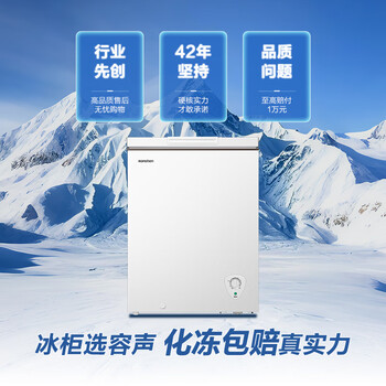 容声（Ronshen）145L单温家用冰柜冰箱冷藏冷冻转换减霜全空间净化抗菌可囤200斤肉冷柜BD/BC-145ZMSMB