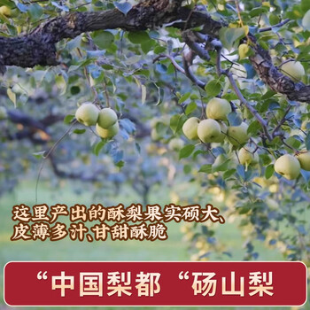 乡愁沈丹纯秋梨膏200g*2罐 0添加剂 传统古法手工熬制 清润生嗓养儿童成人