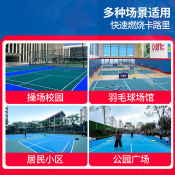 思宁 气排球网架羽毛球网架标准室外多功能移动网柱室内6.1米网