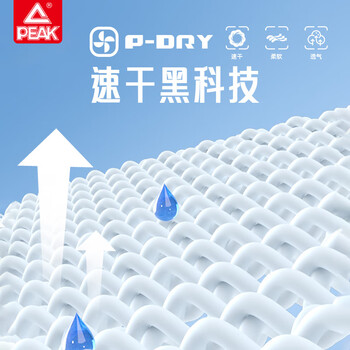 匹克羽毛球服男速干透气跑步健身宽松两件套短裤+短袖运动套装黑色3XL