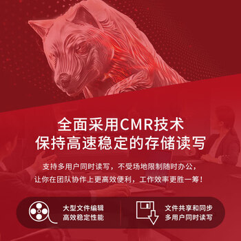 希捷（SEAGATE）NAS硬盘16TB 256MB 7200转 CMR垂直 网络存储 SATA 酷狼机械硬盘 数据恢复服务3.5英寸
