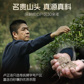 卢正浩绿茶西湖龙井特级100g2026新茶预售明前茶叶礼盒狮峰山源头直发
