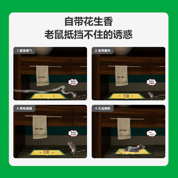 绿叶（Green Leaf） 粘鼠板 家用粘老鼠贴精装粘鼠板（活力型）50片整箱装