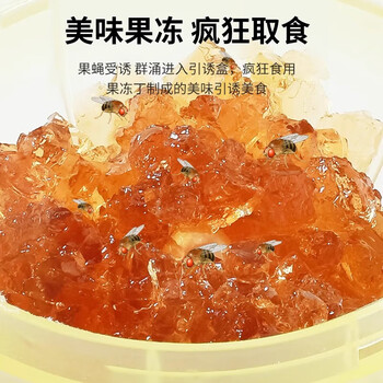 地依猫杀蝇饵剂小飞虫果蝇诱捕器苍蝇神器杀蝇饵剂厨房粘捕驱赶呋虫胺