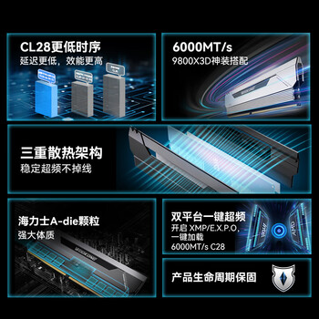 佰维（BIWIN）32G(16G×2)套装 DDR5 6000频率台式机内存条 斗战行者HX100 马甲条(C28)黑色AI PC电脑存储配件