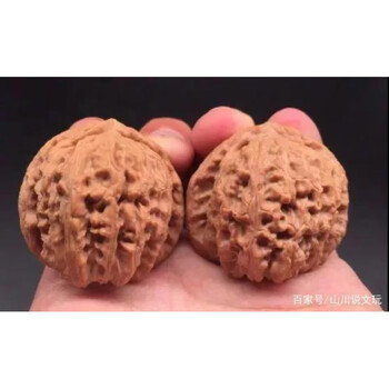 文玩核桃门墩型号规格- 京东