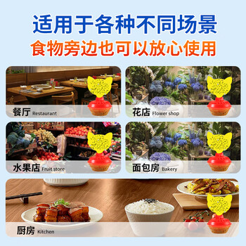 锐本果蝇诱捕器1个装灭蝇神器粘蝇板果蝇小飞虫诱捕器苍蝇粘捕诱饵