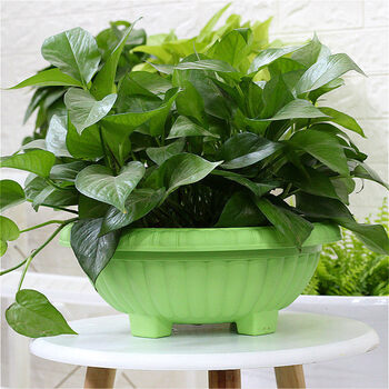 花盆大树脂塑料加厚吊兰圆形花盆 阳台绿植四吊兰圆形花 浅绿色单独盆