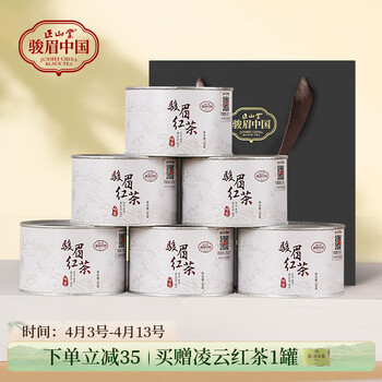 正山堂　金駿眉　中国紅葉　100g×2缶 正山堂金駿眉中国紅葉100g×2缶