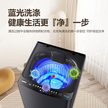 志高（CHIGO）波轮洗衣机 12KG大容量全自动毛毯洗 家用租房宿舍智能洗脱一体蓝光洗护 XQB120-118 