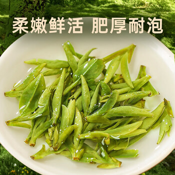 西湖工夫2025新茶叶绿茶【老茶树龙井】明前特级春茶自己喝送长辈领导150g 西湖工夫2025新茶叶绿茶【老茶树龙井】明前特级春茶自己喝送长辈领导150g