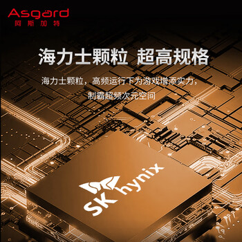 阿斯加特(Asgard)32GB(16GBx2) DDR5 6400 台式机内存条 海姆达尔 马甲条 海力士M-die CL32 黑厚甲 阿斯加特(Asgard)32GB(16GBx2) DDR5 6400 台式机内存条 海姆达尔 马甲条 海力士M-die CL32 黑厚甲