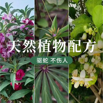 鼠道难赤惑 驱蛇粉硫磺粉非雄磺粉户外露营防蛇虫药庭院家用驱蛇药2500g