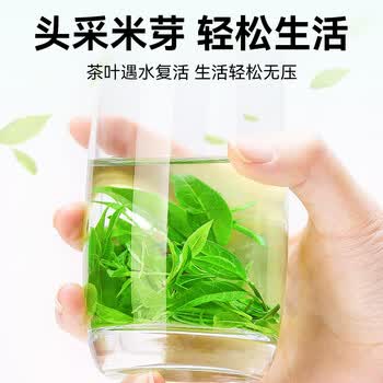 贡苑正宗贵州余庆小叶苦丁茶250g明前头采特级嫩芽端午节日礼盒送长辈