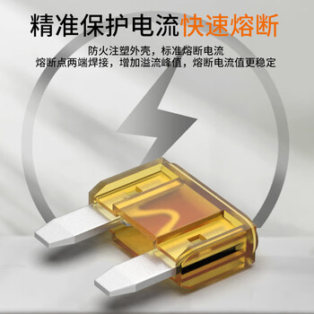 汇君 汽车保险丝保险片车用保险片插片4S店保险丝管套装 【迷你款】25A-白色10片