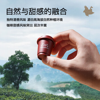 燃喵冷萃冻干咖啡 速溶黑咖啡0脂美式咖啡云南咖啡 酒香甜心2g*12颗