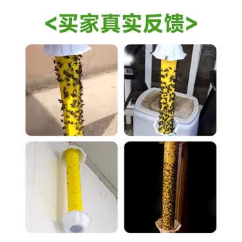 巨奇严选灭苍蝇神器家用小飞虫灭杀神器苍蝇贴强力粘蝇纸 1个装