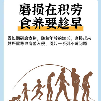 恋上谷椰奶益生菌燕麦片400g*2罐送杯勺无蔗糖饱腹免煮麦片冲饮营养早餐