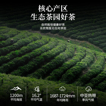 福东顺 茶叶 安化黑茶500g金花茯砖2013年手筑湖南熟茶自己喝送礼佳品