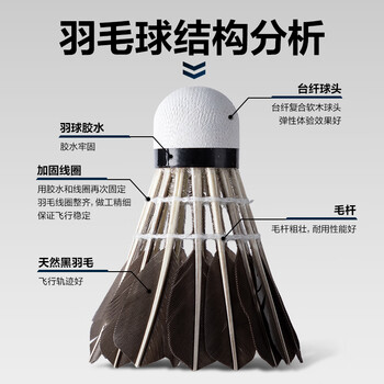 得力（deli）强韧耐打型黑鹅毛羽毛球10只装 训练结实不易折断毛牢固稳定羽球