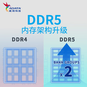 威刚（ADATA）32GB DDR5 4800 台式机内存条 万紫千红