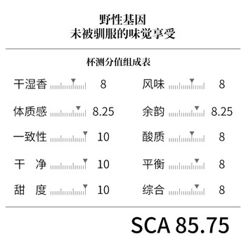 鹿家嘴LUJIAZUI印尼正宗野鼬猫屎咖啡豆麝香猫手冲精品豆100g