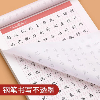 金枝叶行楷字帖成年人练字专用行书练字帖速成凹槽反复使用男生女生字体漂亮钢笔硬笔书法初学者入门套装