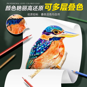 马格利特彩铅美术生专用油性彩色铅笔绘画彩铅笔画画动漫初中生专用多色可擦彩笔小学生美术水溶性画笔72色